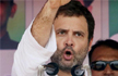 BJP killed Dalits, tribals to be in power in Chhattisgarh: Rahul Gandhi